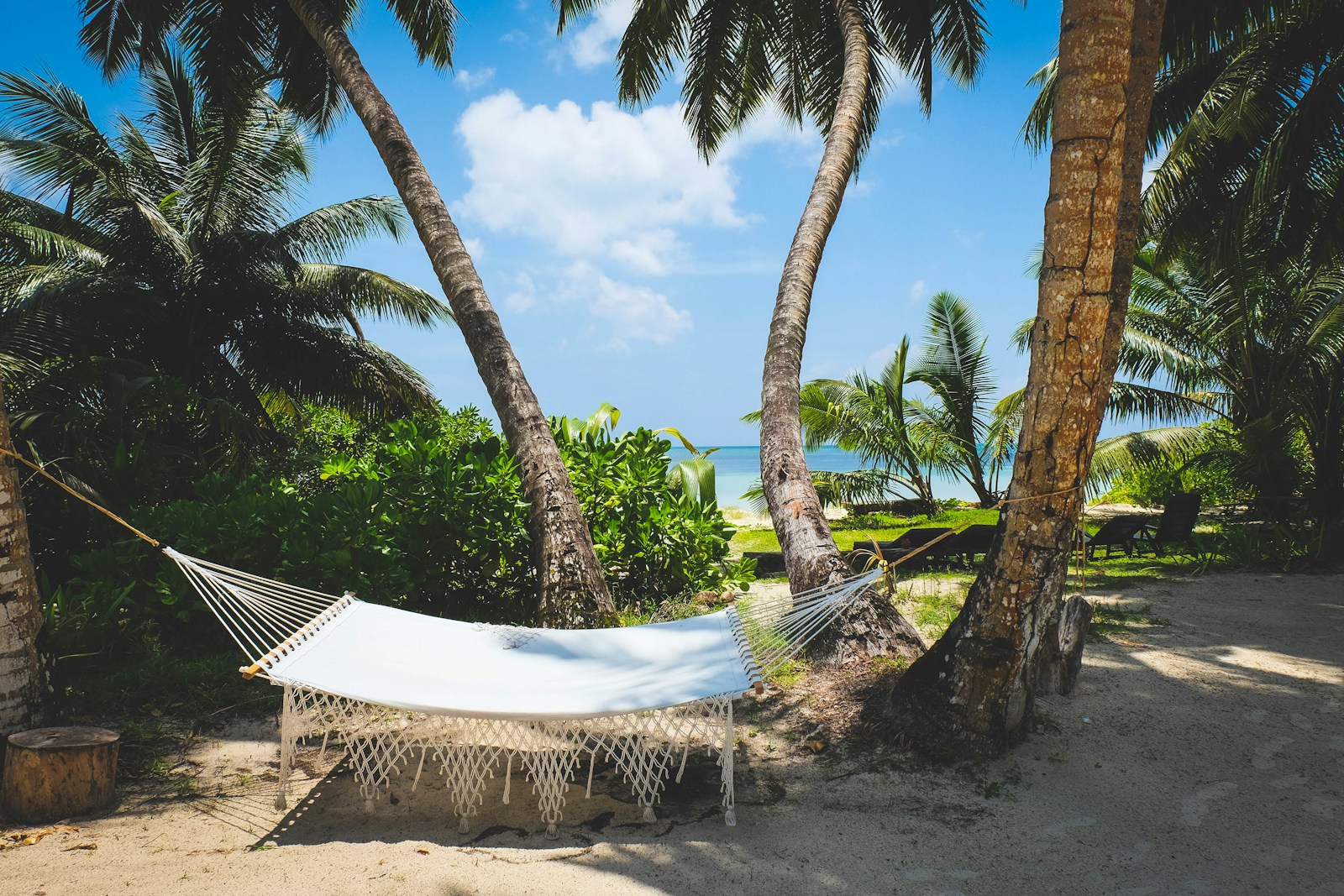 white and black lounge chairs near palm trees under blue sky during daytime